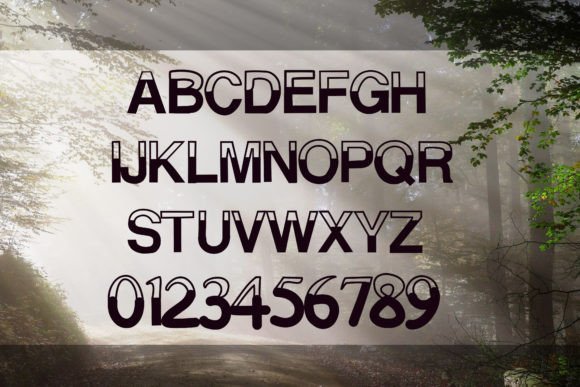 Half: A Brushed Display Font That Brings Personality to Branding