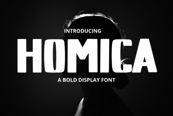Homica: A Designer’s Take on Real-World Use